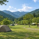 山あいのキャンプ場と芝生広場に張られたテント