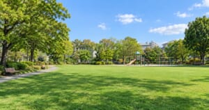 芝生の広い都市公園と遊具、木立とベンチ